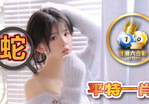 刘伯温论坛资料大全-刘伯温论坛资料大全下载安装版V
