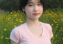 杨贵妃传媒m3u8人口V
